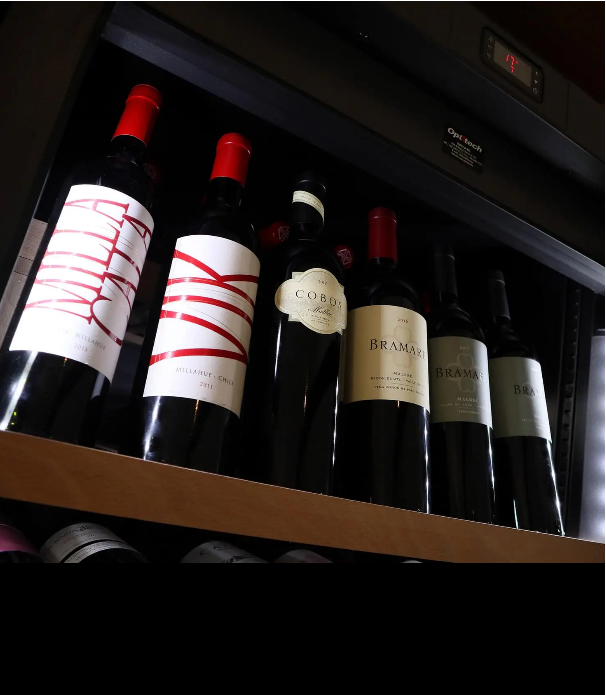 Borválogatás a Barrio polcáról — köztük az argentin Viña Cobos malbec.